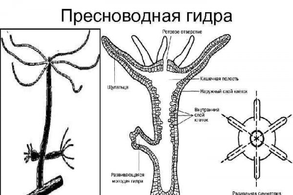 Как залить деньги на блэкспрут